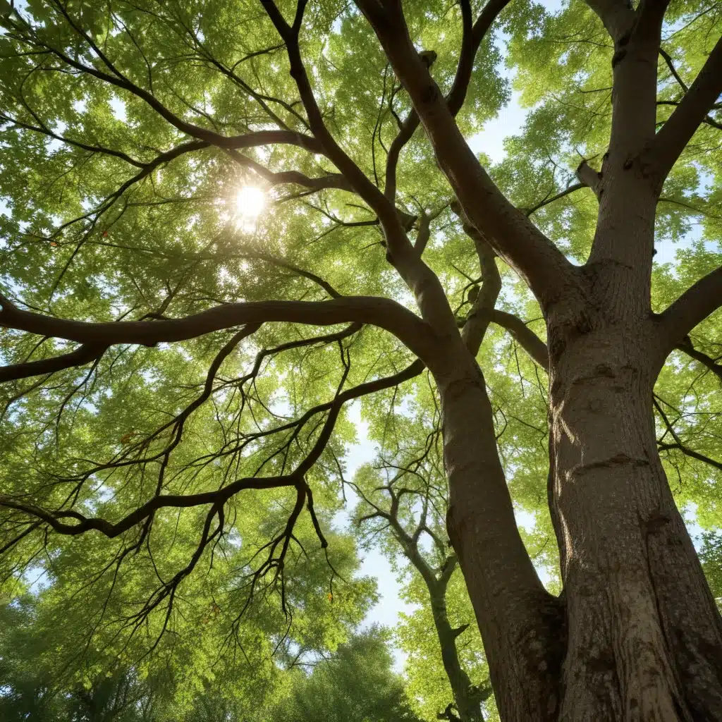 Balancing Nature’s Rhythms: A Comprehensive Guide to Nurturing Healthy Trees