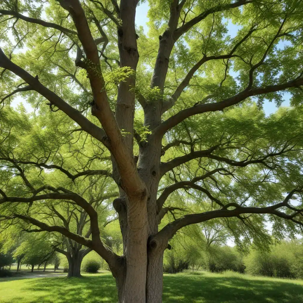 Discovering the Distinctive Characteristics of the Delightful Winged Elm