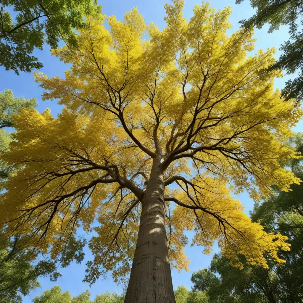 Discovering the Distinctive Characteristics of the Delightful Yellowwood Tree