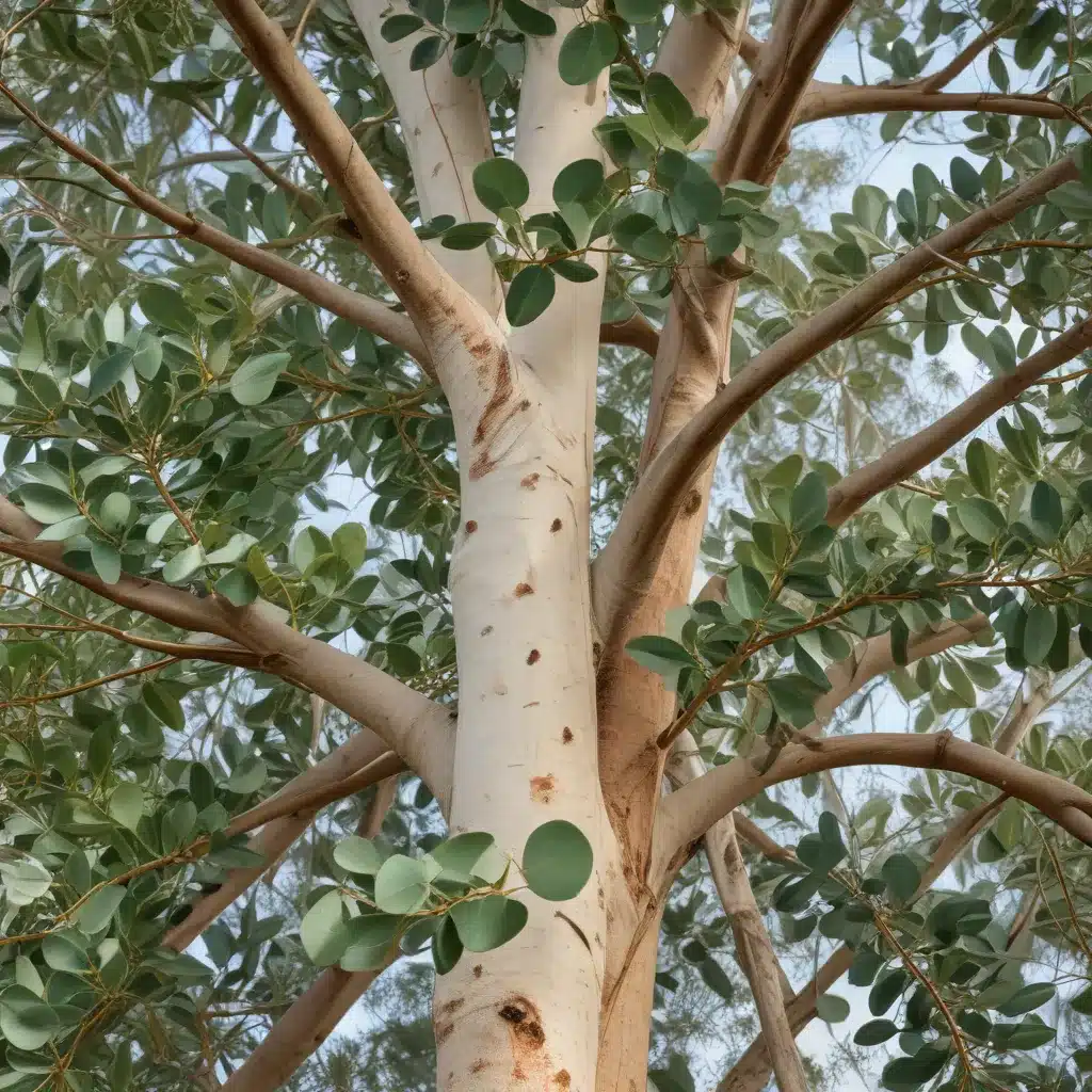 Embracing the Extraordinary Eucalyptus: Uncovering Its Versatile Virtues