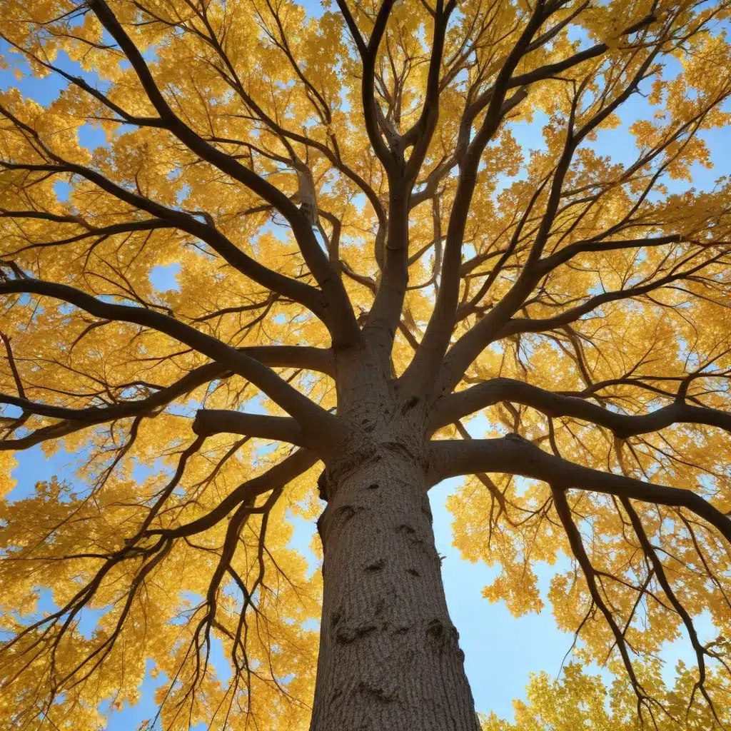 Embracing the Seasons: A Comprehensive View of Tree Health