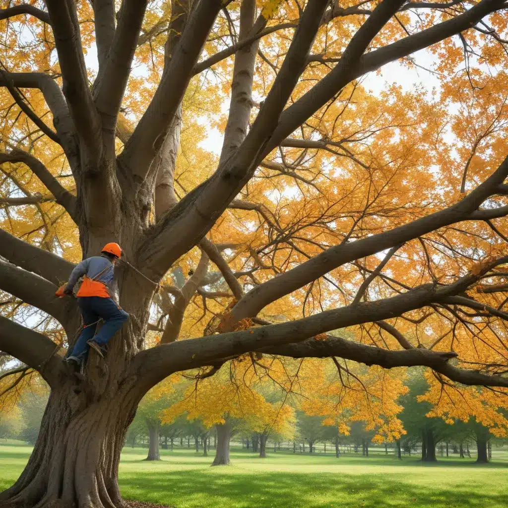 Embracing the Seasons: A Guide to Successful, Year-Round Tree Tending