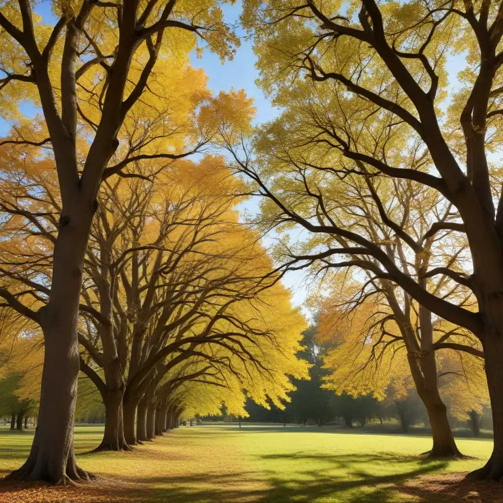 Embracing the Seasons: A Multifaceted Approach to Thriving Trees