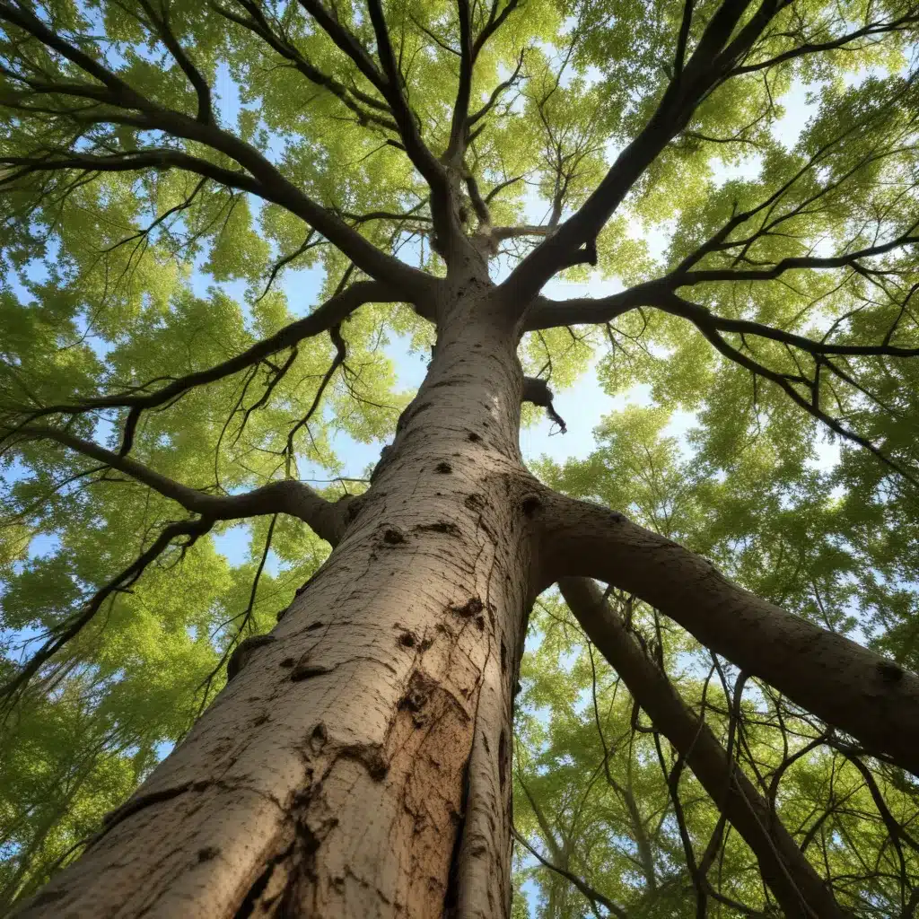 Ensuring Tree Survival and Recovery in the Face of Adversity