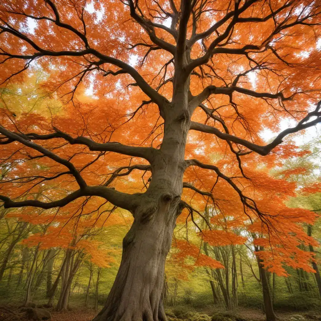 Marveling at the Magnificent Maple: A Tree Species Spotlight