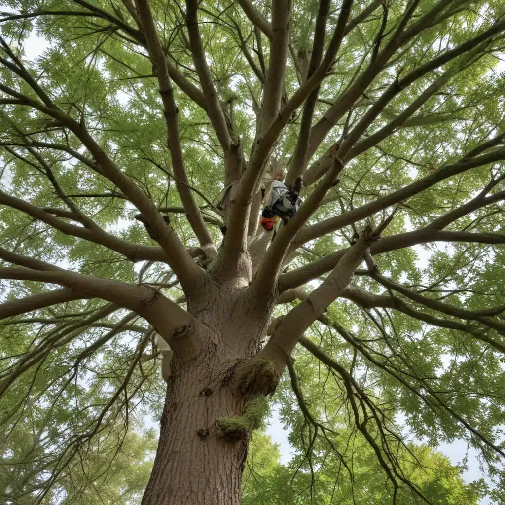 Maximizing the Benefits of Seasonal Tree Care Practices