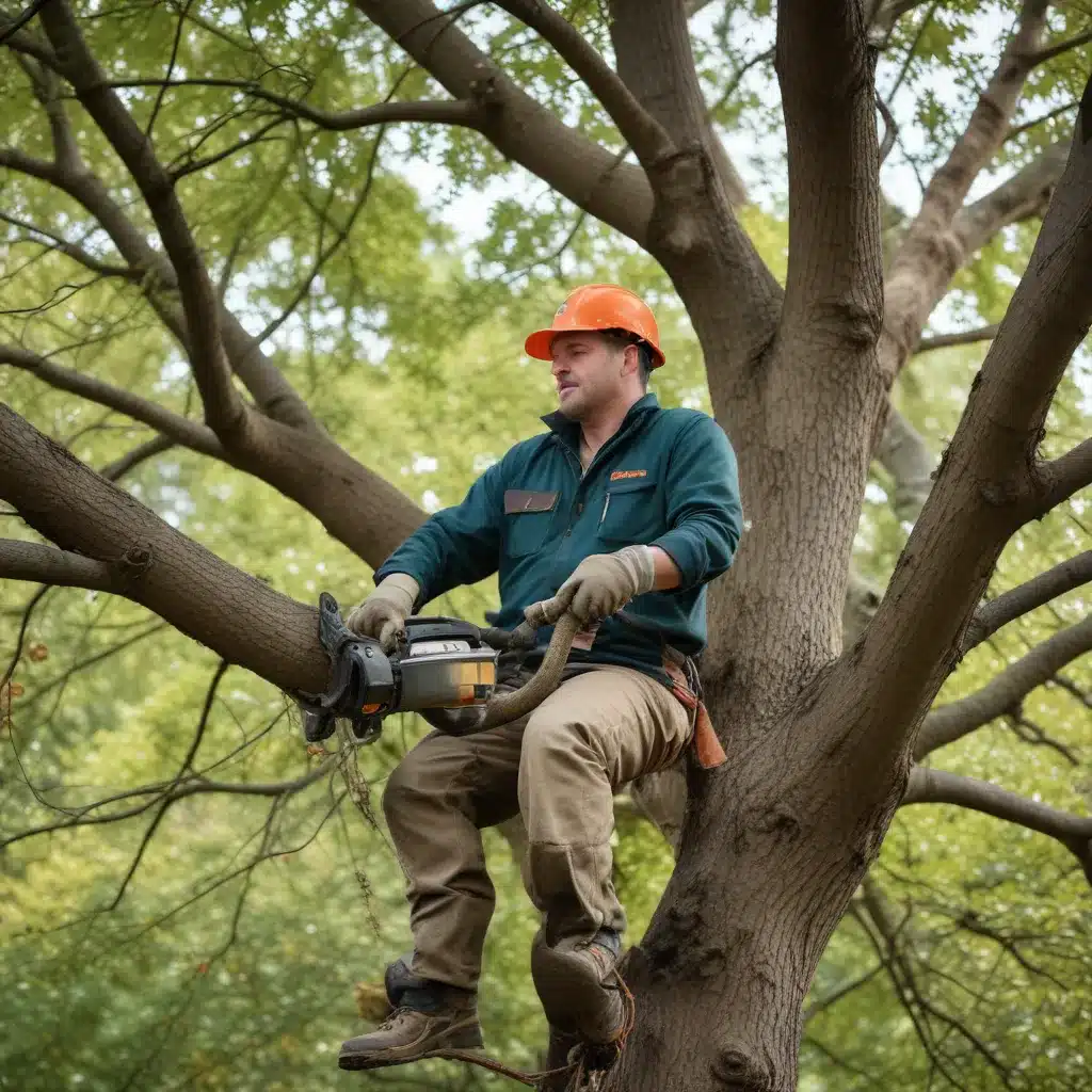 Navigating the Complexities of Year-Round Tree Care with Confidence