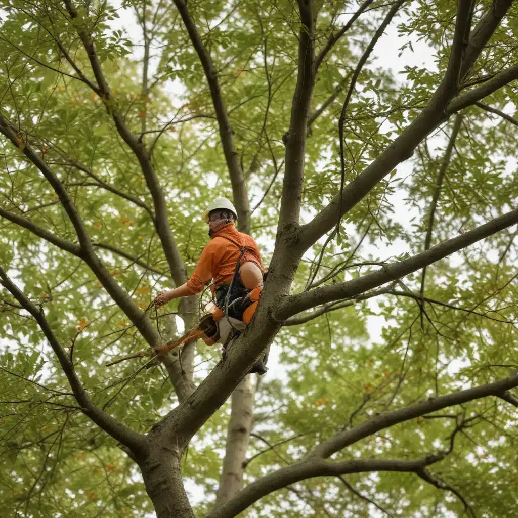 Navigating the Rhythms of Nature: Seasonal Tree Care Strategies