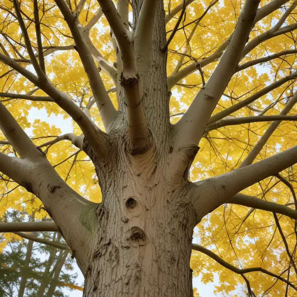 Seasonal Tree Care: Harnessing the Power of Nature’s Patterns