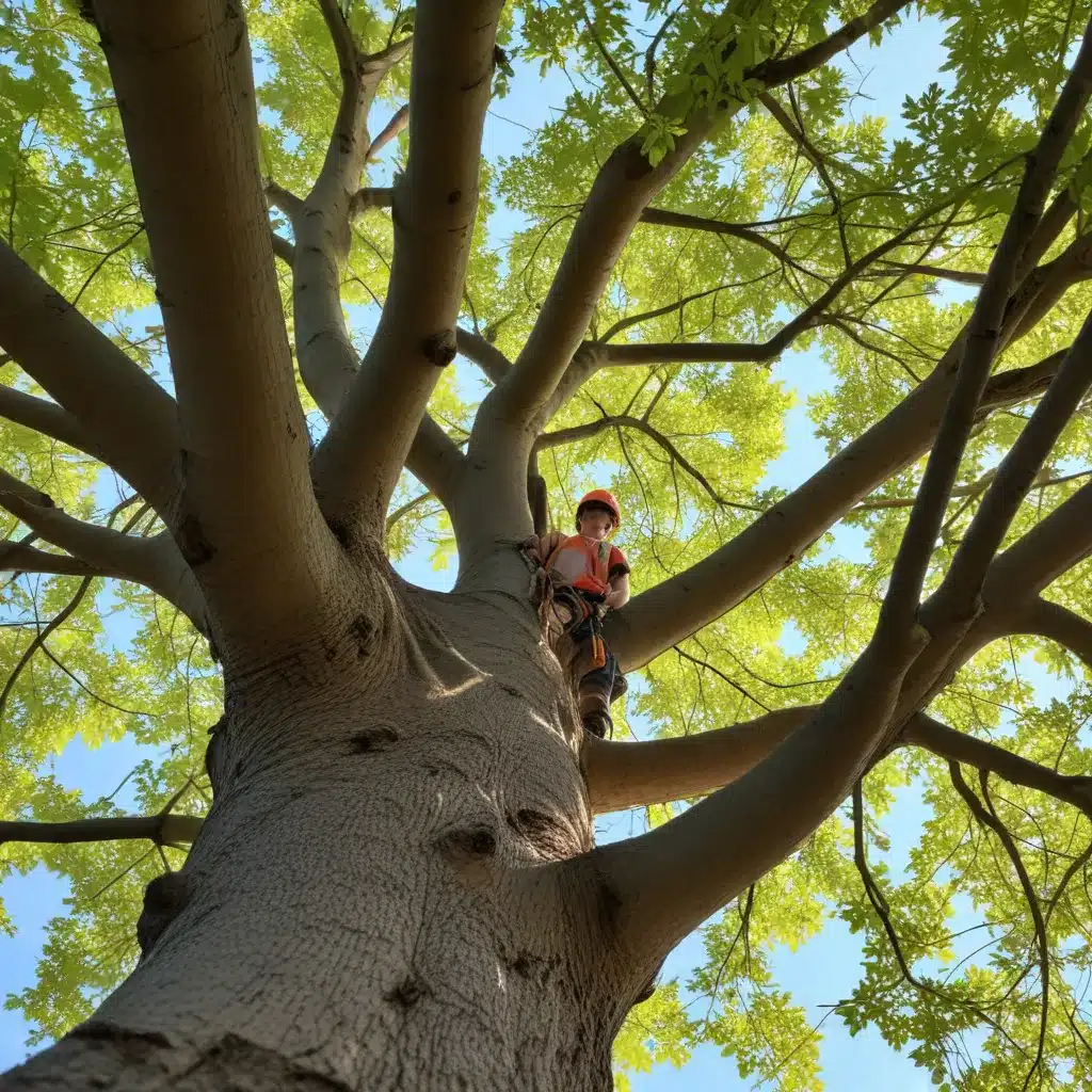 Seasonal Tree Maintenance: Cultivating Resilience Through Holistic Care