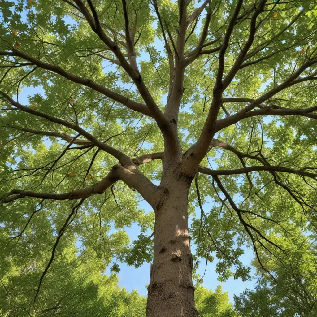 Seasonal Tree Maintenance: Cultivating Resilient and Thriving Ecosystems