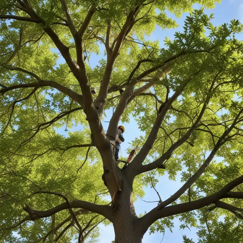 Seasonal Tree Maintenance: Cultivating Year-Round Vitality