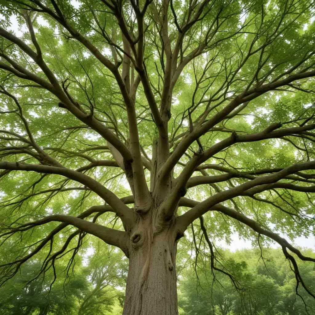 Seasonal Tree Maintenance: Unlocking the Key to Thriving Landscapes