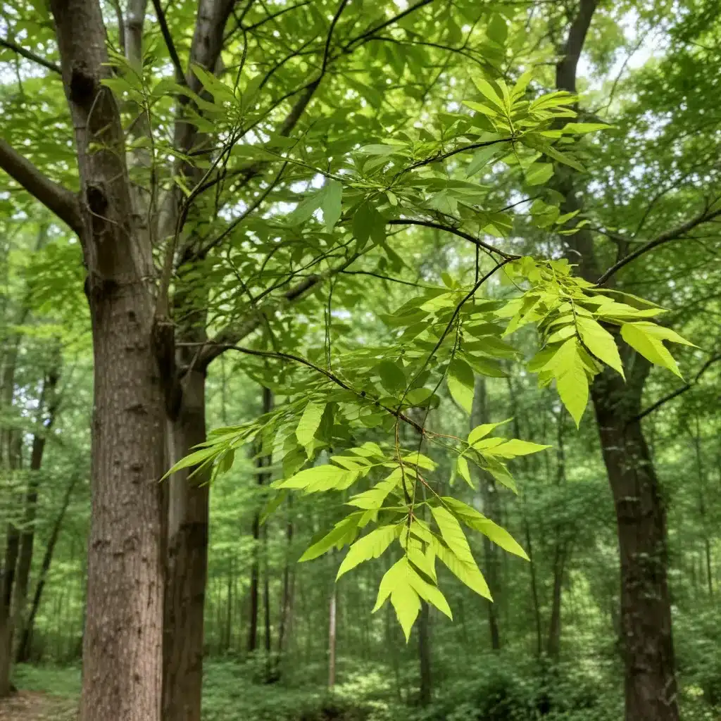 The Resilient Sourwood: Unraveling the Secrets of This Underappreciated Native